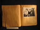 Filename=RFSB11-88.jpg
Filesize=286KiB
Dimensions=2048x1536
Date added=Feb 18, 2011 RFSB11-88.jpg